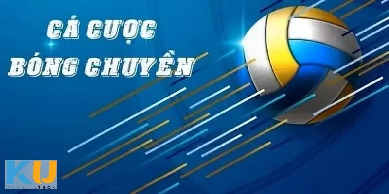 Tổng quan về cá cược bóng chuyền